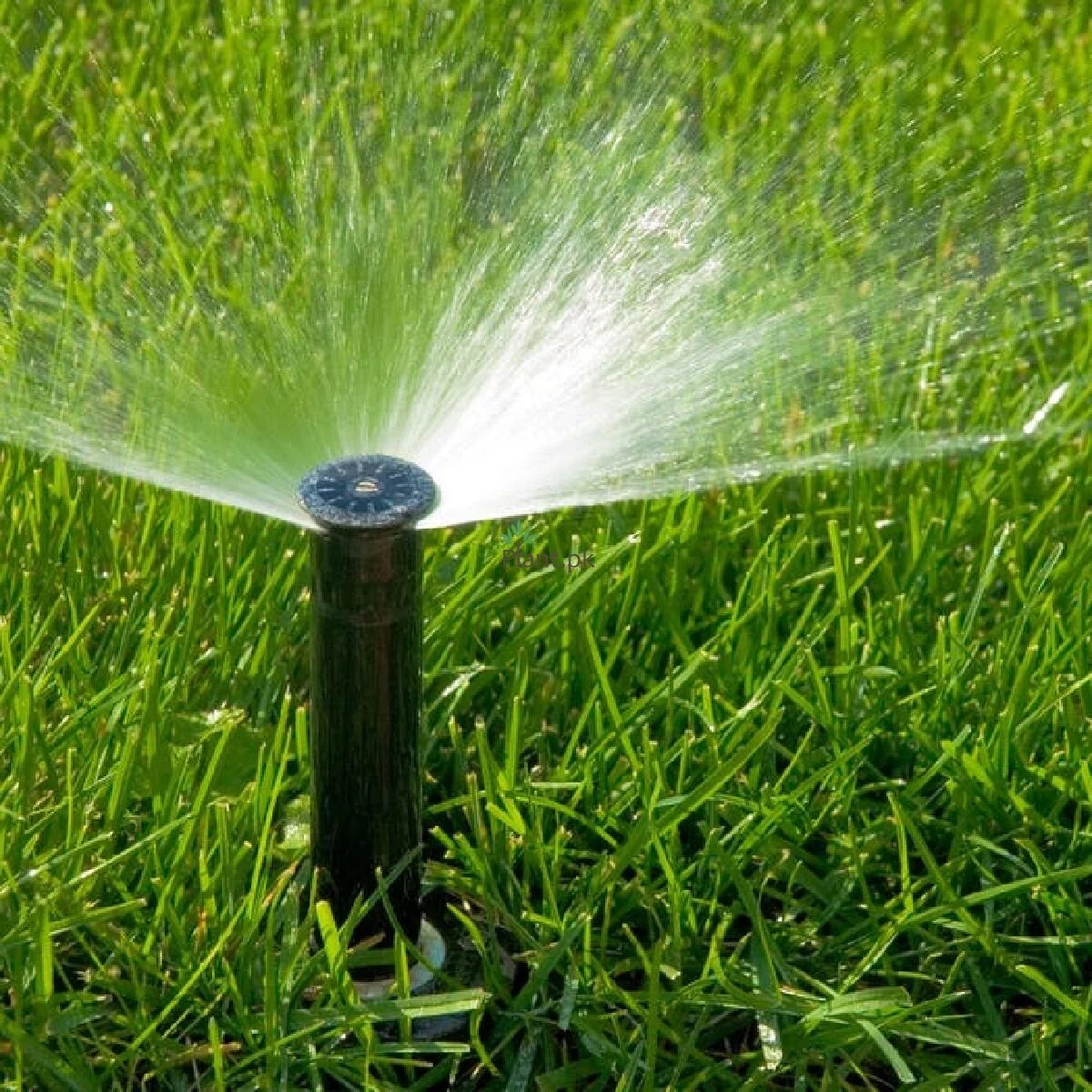 Sprinkler Systems Sprinkler Systems