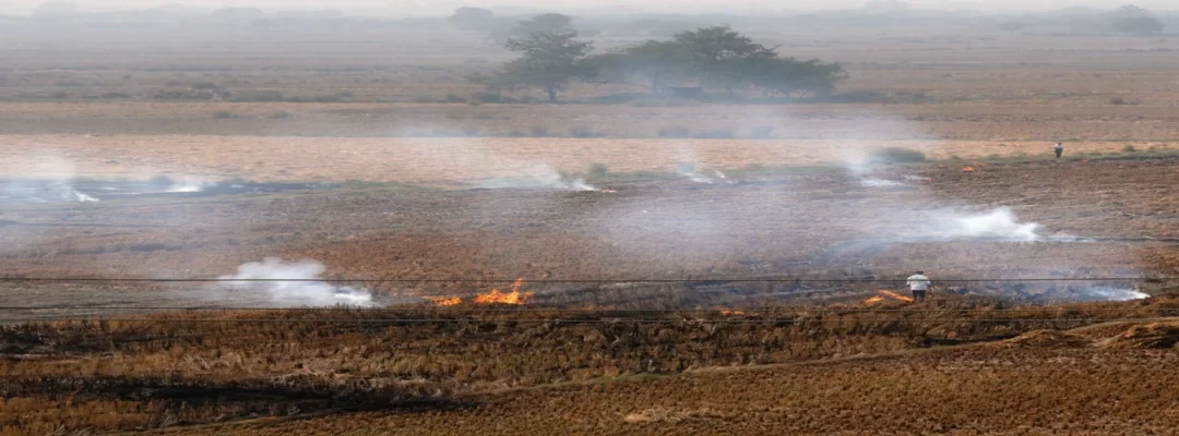 Agricultural Dust Pollution: Risks on Farms and How to Reduce Exposure