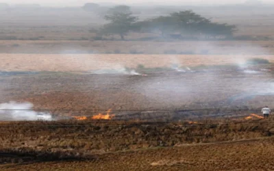 Agricultural Dust Pollution: Risks on Farms and How to Reduce Exposure