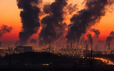 Environmental Effects of Cement Dust